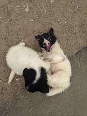 960 X 1280 232.4 Kb 1280 X 960 240.1 Kb 1280 X 960 232.7 Kb 1280 X 960 230.0 Kb     .