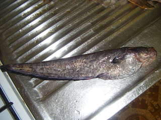 1920 X 1440 328.2 Kb 1920 X 1440 317.0 Kb 1920 X 1440 339.1 Kb 1920 X 1440 318.6 Kb Где посидеть на кольцо? Красный бор vs Чеганда?