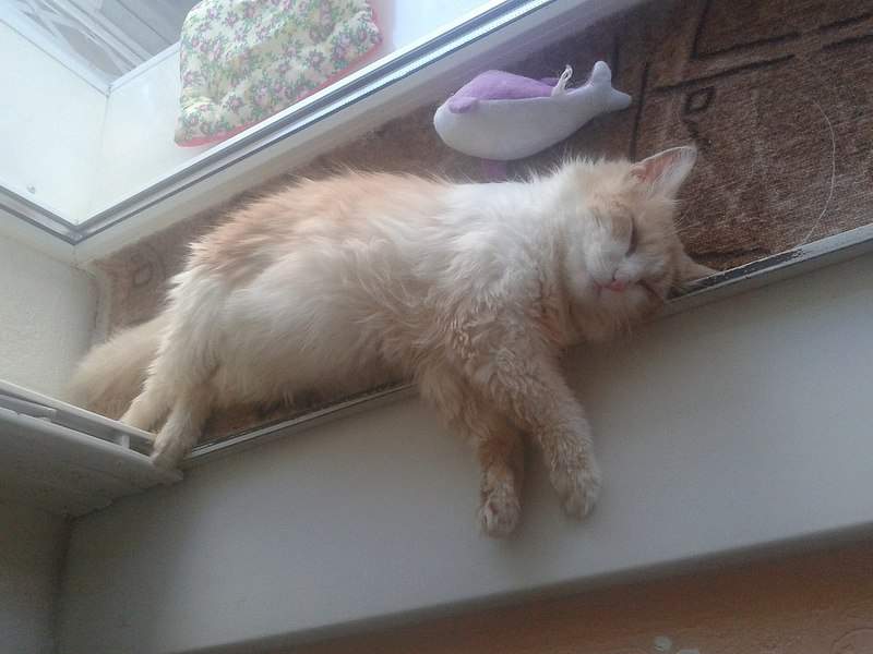 1280 X 960 171.0 Kb 1200 X 800 158.9 Kb      - !