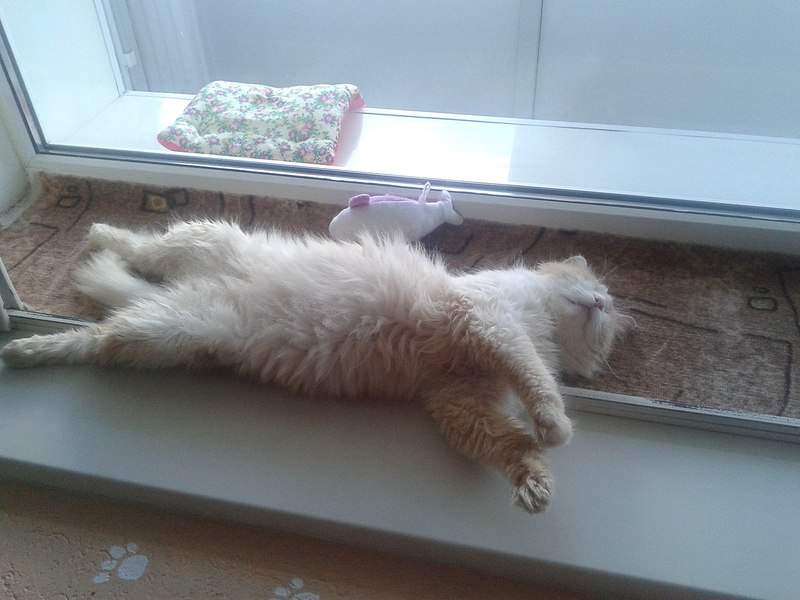 1280 X 960 161.1 Kb 1280 X 960 171.0 Kb 1200 X 800 158.9 Kb      - !