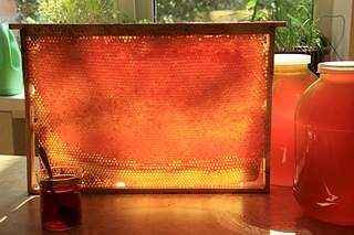 900 X 600 308.3 Kb 640 X 420 190.6 Kb     2015.