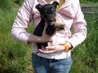 1920 X 1440 369.2 Kb       