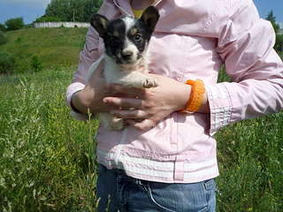 1920 X 1440 378.7 Kb      