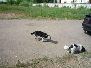 1920 X 1440 396.7 Kb      