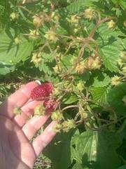 1944 X 2592 437.1 Kb 1944 X 2592 989.1 Kb    