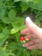 1944 X 2592 936.9 Kb 1944 X 2592 462.3 Kb 1944 X 2592 437.1 Kb 1944 X 2592 989.1 Kb    