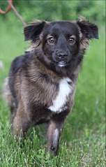 651 X 1024  98.7 Kb 1280 X 853 117.7 Kb   