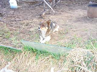 1280 X 960 300.5 Kb 1280 X 960 371.9 Kb   