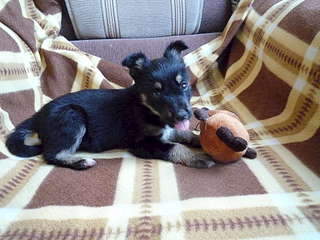 1920 X 1440 298.6 Kb       