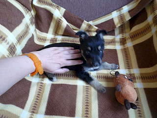 1920 X 1440 255.0 Kb       