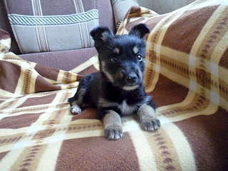 1920 X 1440 283.4 Kb       