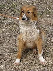 768 X 1024 285.7 Kb 1280 X 960 431.1 Kb   