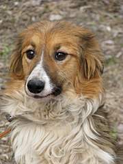 768 X 1024 150.0 Kb 768 X 1024 285.7 Kb 1280 X 960 431.1 Kb   