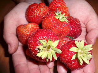 1920 X 1440 328.3 Kb ����������� ��� ��������� (��������) ����� ��� �������