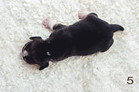 1199 X 800 160.1 Kb 1199 X 800 193.1 Kb  