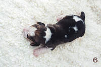 1199 X 800 207.8 Kb 1199 X 800 160.1 Kb 1199 X 800 193.1 Kb  