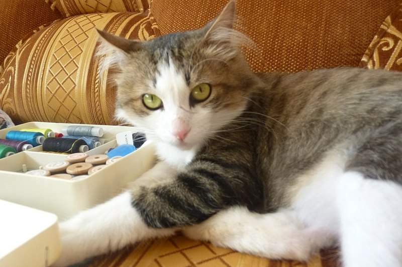 1280 X 850 176.9 Kb 680 X 1024  86.2 Kb 680 X 1024  98.2 Kb  -   ,   