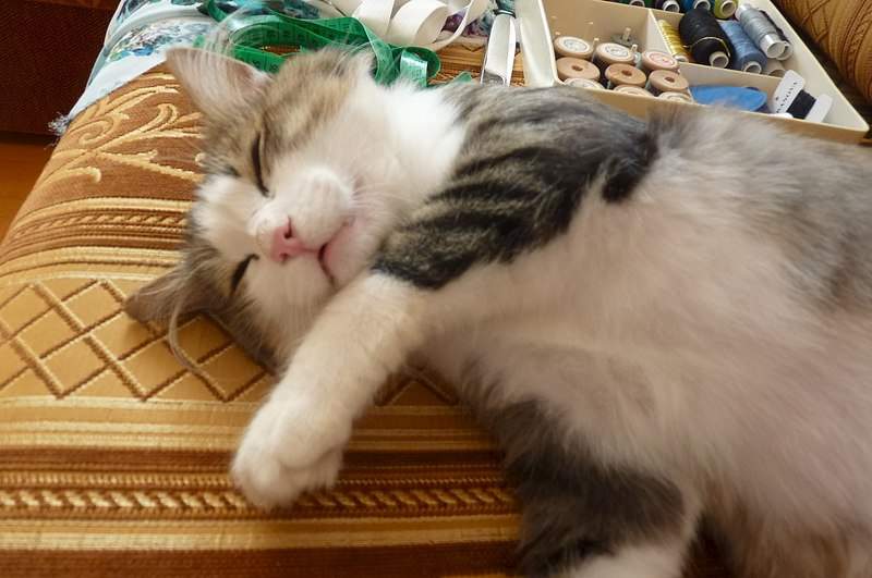 1280 X 850 166.1 Kb 1280 X 850 176.9 Kb 680 X 1024  86.2 Kb 680 X 1024  98.2 Kb  -   ,   