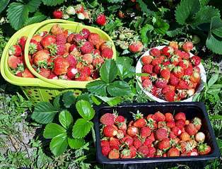 1920 X 1464 546.8 Kb ����������� ��� ��������� (��������) ����� ��� �������