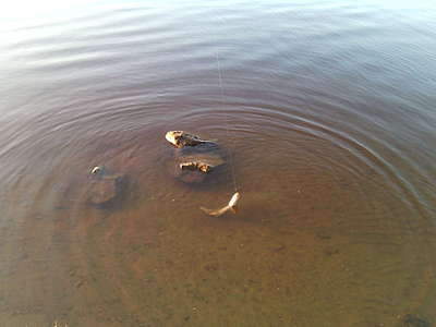 1920 X 1440 127.0 Kb 1920 X 2560 545.5 Kb 1920 X 2560 685.4 Kb 1920 X 1440 451.6 Kb  