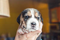 1199 X 800 158.3 Kb 1199 X 800 132.4 Kb 1199 X 800 161.6 Kb 1199 X 800 175.3 Kb  