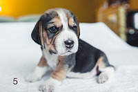 1199 X 800 126.9 Kb 1199 X 800 158.3 Kb 1199 X 800 132.4 Kb 1199 X 800 161.6 Kb 1199 X 800 175.3 Kb  