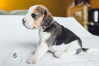 1199 X 800 151.4 Kb 1199 X 800 132.3 Kb  