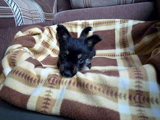 1920 X 1440 288.5 Kb       