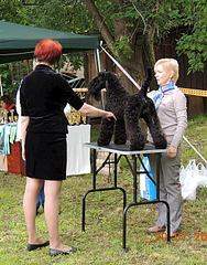 564 X 720 105.1 Kb 19     lt;, -2015gt;