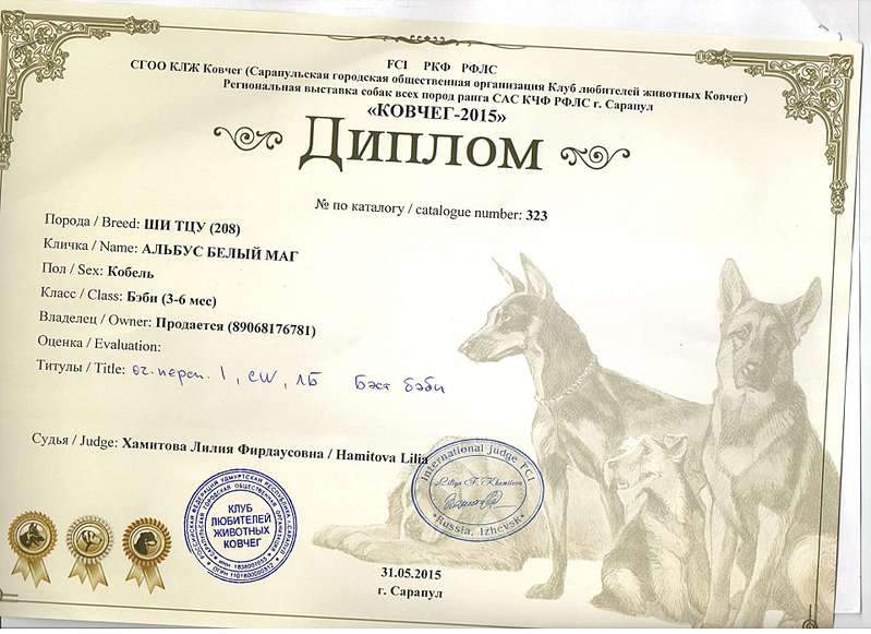 1920 X 1396 219.6 Kb  -