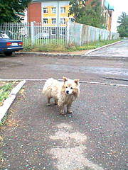 480 X 640 76.8 Kb ��������� ��� ���� �� �����?