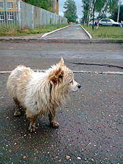 480 X 640 69.5 Kb ��������� ��� ���� �� �����?