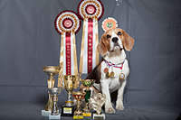 1920 X 1280 243.1 Kb 1199 X 800 121.6 Kb  