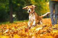 1199 X 800 159.5 Kb 1920 X 1280 243.1 Kb 1199 X 800 121.6 Kb  