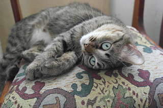 1920 X 1280 257.5 Kb   