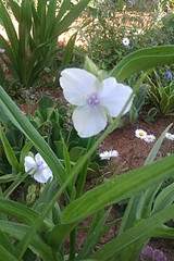 1728 X 2592 913.1 Kb 1728 X 2592 516.2 Kb 1280 X 960 579.9 Kb 1280 X 960 567.8 Kb ������ ������� ����������� ������, ��������