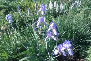 1920 X 1280 472.5 Kb ������ ������� ����������� ������, ��������