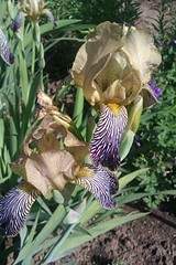 1728 X 2592 907.4 Kb 1920 X 1280 472.5 Kb ������ ������� ����������� ������, ��������