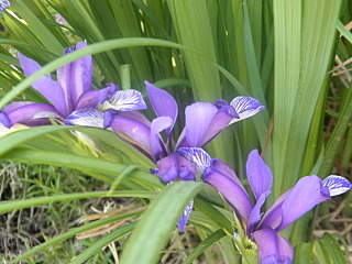 1280 X 960 538.9 Kb 960 X 1280 572.7 Kb 1728 X 2592 907.4 Kb 1920 X 1280 472.5 Kb ������ ������� ����������� ������, ��������