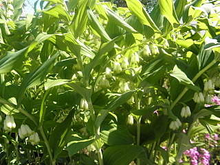 1280 X 960 572.8 Kb 1280 X 960 525.5 Kb ������ ������� ����������� ������, ��������