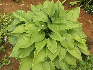 1280 X 960 577.1 Kb ������ ������� ����������� ������, ��������