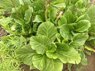 1280 X 960 562.3 Kb 1280 X 960 577.1 Kb ������ ������� ����������� ������, ��������