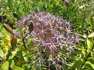 1920 X 1440 469.0 Kb 1280 X 960 562.3 Kb 1280 X 960 577.1 Kb ������ ������� ����������� ������, ��������