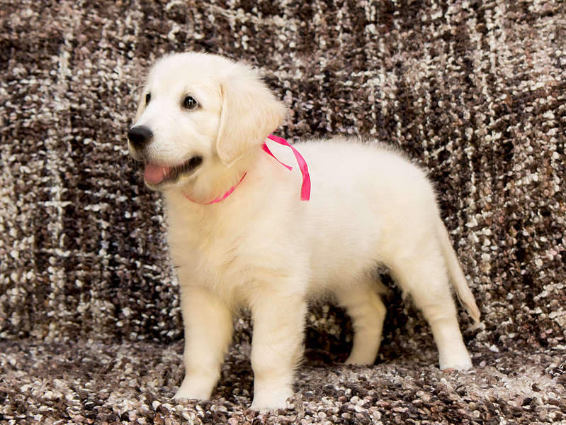 1920 X 1439 386.3 Kb 1920 X 1440 466.6 Kb 1920 X 1280 334.8 Kb   !  !