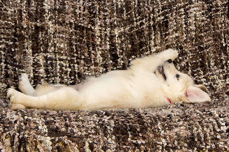 1920 X 1280 494.7 Kb 1920 X 1439 386.3 Kb 1920 X 1440 466.6 Kb 1920 X 1280 334.8 Kb   !  !