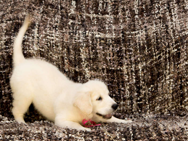 1920 X 1440 419.0 Kb 1920 X 1280 494.7 Kb 1920 X 1439 386.3 Kb 1920 X 1440 466.6 Kb 1920 X 1280 334.8 Kb   !  !