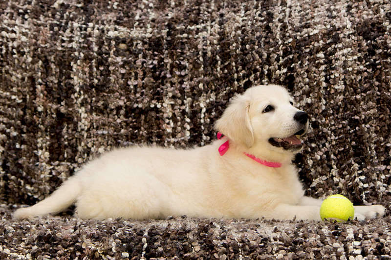 1920 X 1280 383.1 Kb   !  !