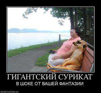 750 X 692  64.1 Kb WOOMEN 
