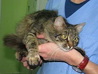 1280 X 960 227.5 Kb 768 X 1024 194.5 Kb        