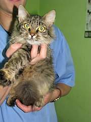 768 X 1024 145.0 Kb 1280 X 960 227.5 Kb 768 X 1024 194.5 Kb        